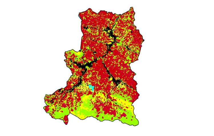 bosques de alto deba