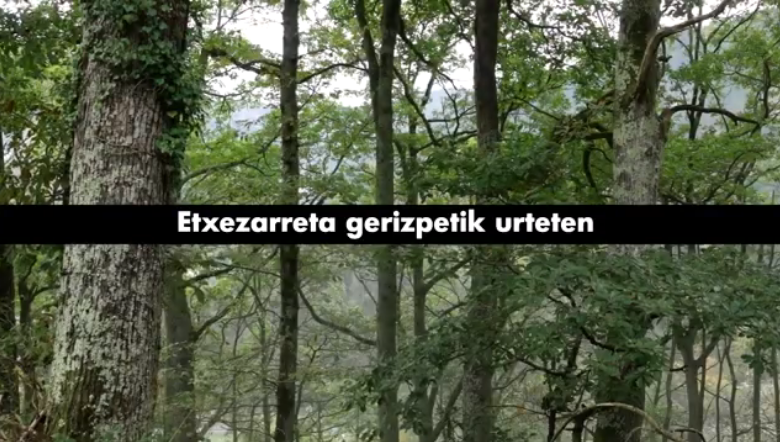 Etxezarreta gerizpetik urteten bideoa